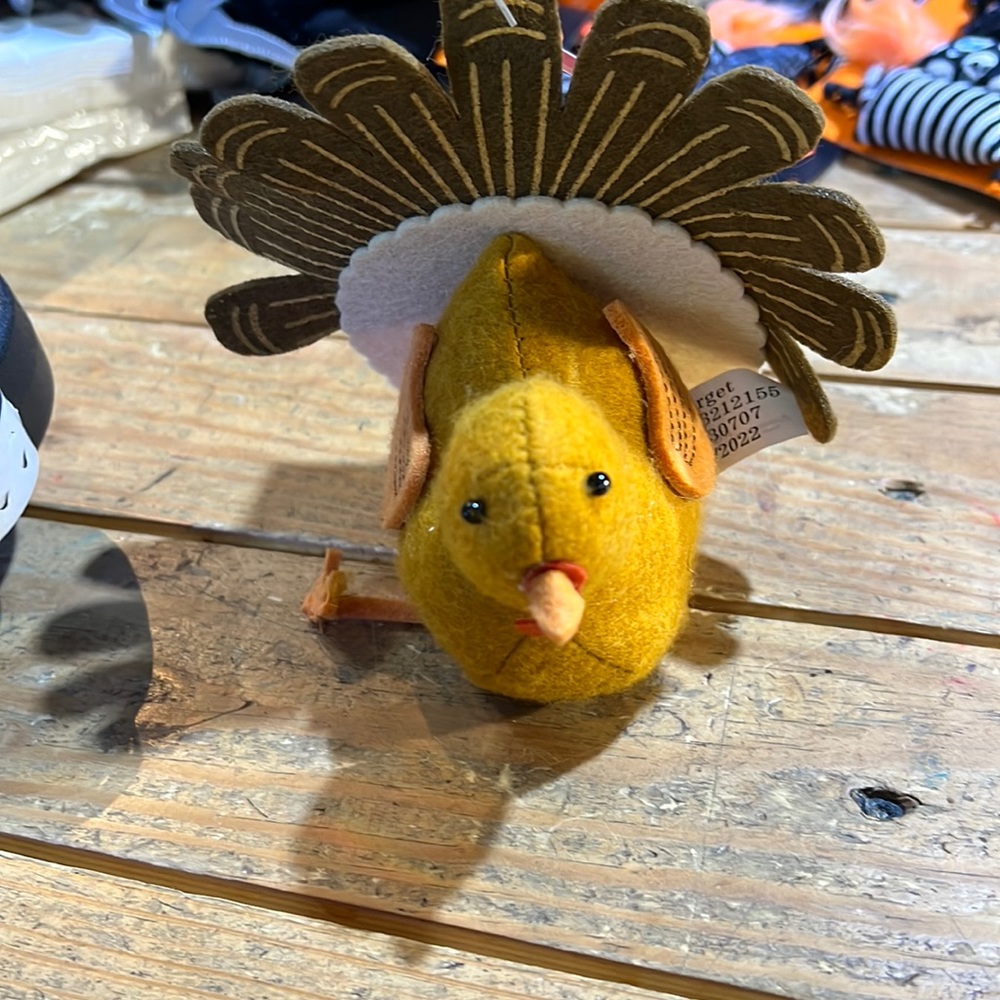Spritz Turkey - Target nwt. Set of 2